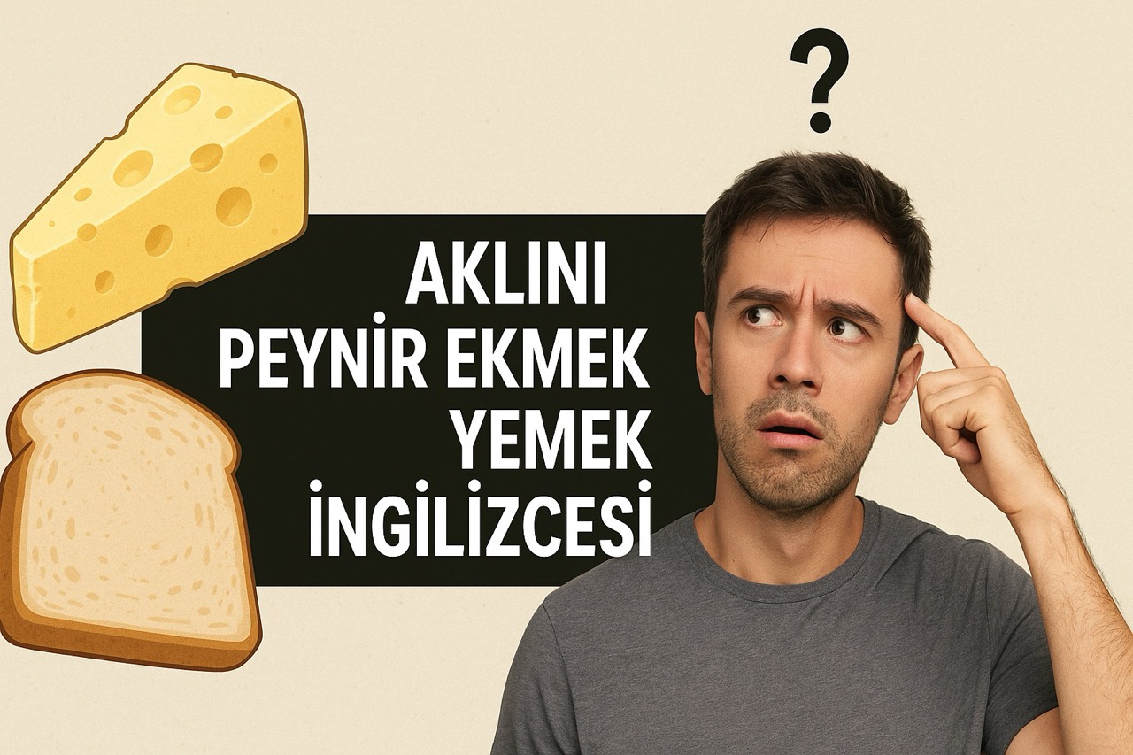 Aklını Peynir Ekmekle Yemek İngilizcesi