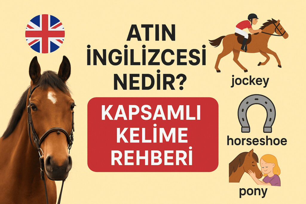 Atın İngilizcesi Nedir? Kapsamlı Kelime Rehberi